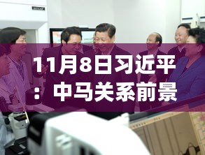 11月8日習近平：中馬關系前景光明 未來可期，11月8日習近平主席談中馬關系，未來光明，前景可期