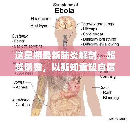 超越陰霾，最新肺炎解剖啟示錄，重塑信心與新知的探索