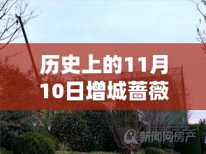 歷史上的11月10日增城薔薇國(guó)際房?jī)r(jià)揭秘，最新價(jià)格一覽表！