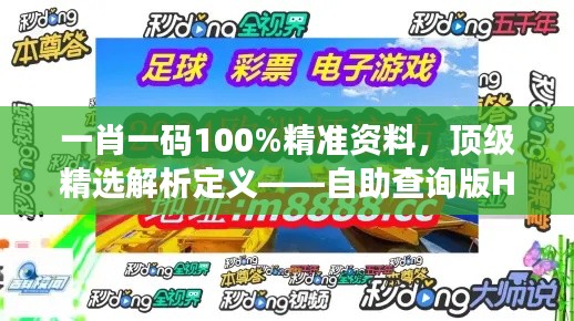 一肖一碼100%精準(zhǔn)資料，頂級(jí)精選解析定義——自助查詢版HOU688.73