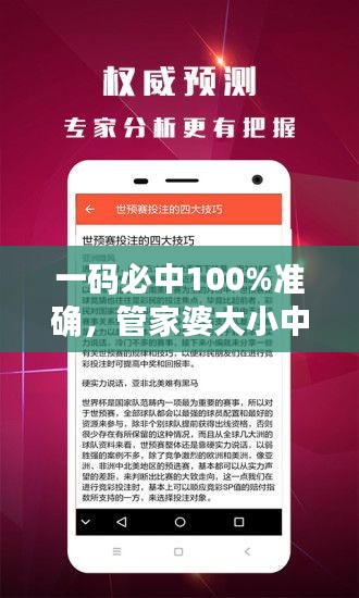 一碼必中100%準確，管家婆大小中特解析，戶外版ZNA113.77深度剖析