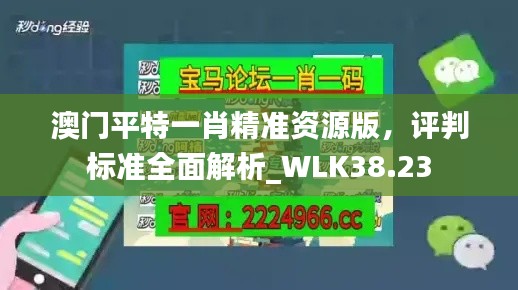 澳門平特一肖精準資源版，評判標準全面解析_WLK38.23