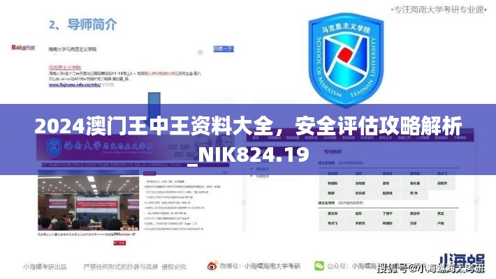 2024澳門王中王資料大全，安全評(píng)估攻略解析_NIK824.19