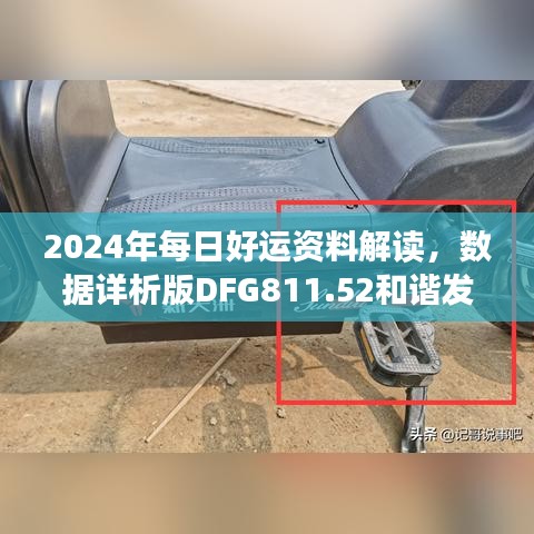 2024年每日好運(yùn)資料解讀，數(shù)據(jù)詳析版DFG811.52和諧發(fā)布