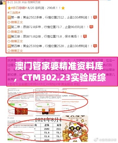 澳門管家婆精準資料庫，CTM302.23實驗版綜合策略解讀