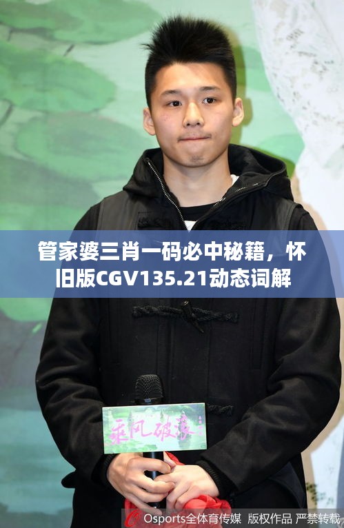 管家婆三肖一碼必中秘籍，懷舊版CGV135.21動(dòng)態(tài)詞解