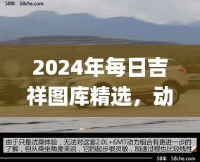 2024年每日吉祥圖庫精選，動態(tài)解讀_SXR232.69遺憾缺席