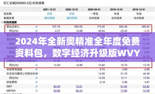 2024年全新奧精準全年度免費資料包，數(shù)字經(jīng)濟升級版WVY560.95