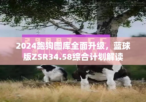 2024跑狗圖庫(kù)全面升級(jí)，藍(lán)球版ZSR34.58綜合計(jì)劃解讀