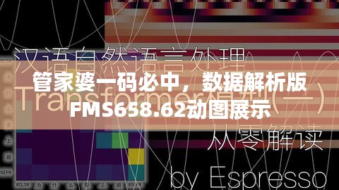 管家婆一碼必中，數(shù)據(jù)解析版FMS658.62動圖展示