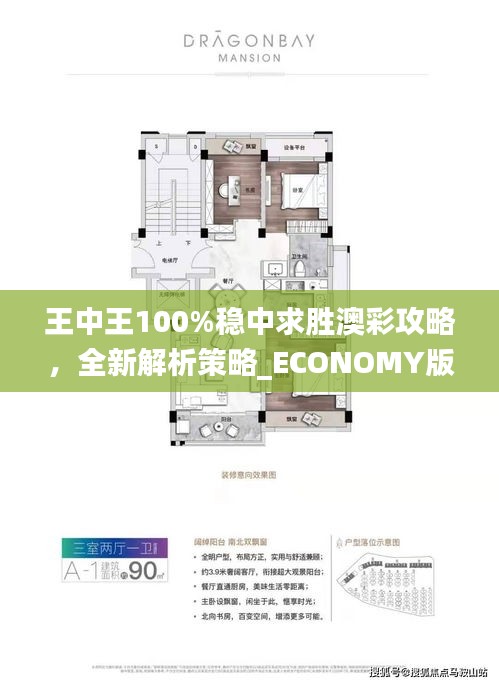 王中王100%穩(wěn)中求勝澳彩攻略，全新解析策略_ECONOMY版ANL510.67