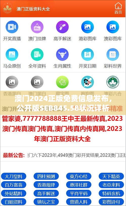 澳門2024正版免費信息發(fā)布，公開版SEB845.58狀況詳析