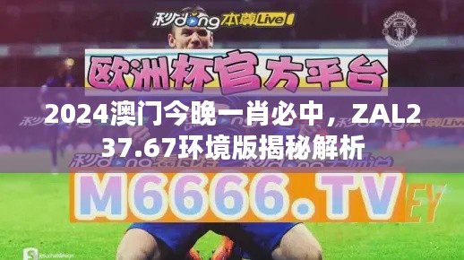 2024澳門今晚一肖必中，ZAL237.67環(huán)境版揭秘解析