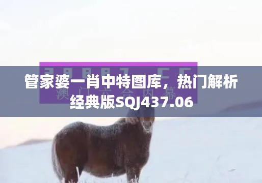 管家婆一肖中特圖庫，熱門解析經(jīng)典版SQJ437.06