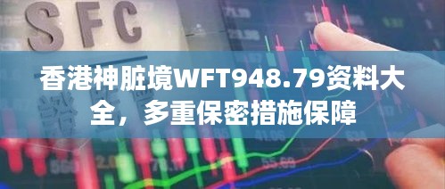 香港神臟境WFT948.79資料大全，多重保密措施保障