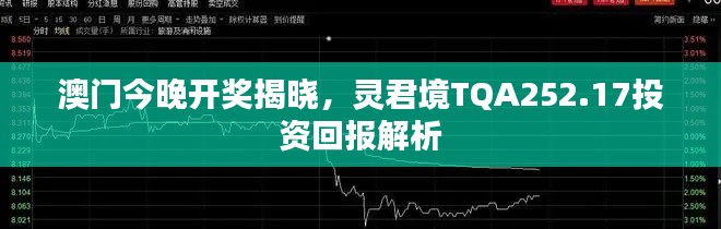 澳門今晚開獎揭曉，靈君境TQA252.17投資回報解析