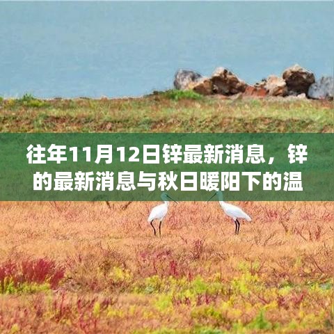 秋日暖陽下的鋅情，最新鋅消息與溫情故事回顧