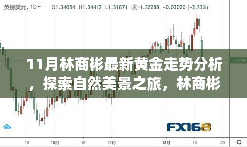 林商彬黃金走勢分析與自然美景探索，黃金與心靈的對話