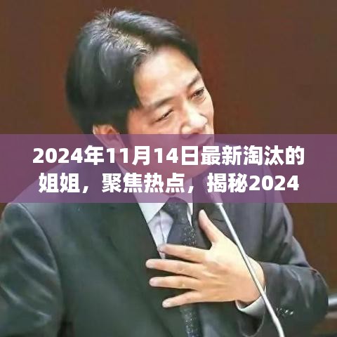 揭秘，2024年11月14日最新淘汰的姐姐背后的故事與熱點(diǎn)聚焦