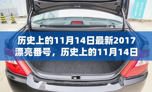 歷史上的11月14日最新2017漂亮番號，歷史上的11月14日，探尋那些閃耀的瞬間與美好記憶??