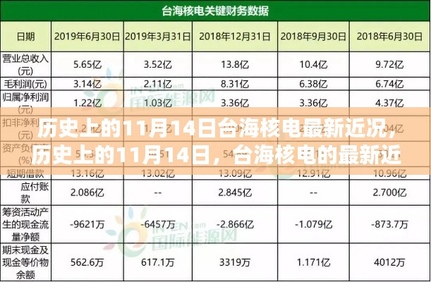 歷史上的11月14日，臺(tái)海核電的最新近況及其影響分析概覽