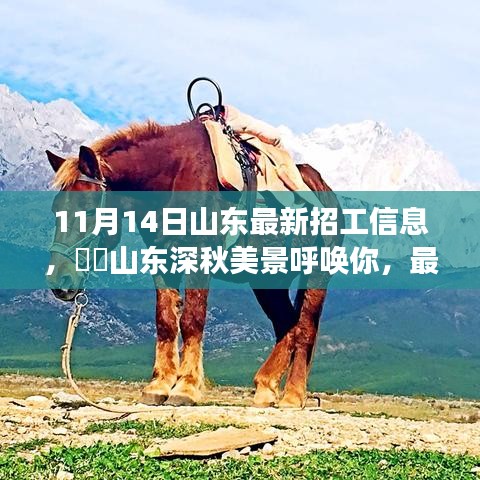 山東最新招工信息帶你領(lǐng)略深秋美景的心靈之旅啟程招募！