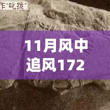 揭秘，風(fēng)中追風(fēng)最新裝備的時(shí)代地位與影響，逐風(fēng)而行，價(jià)值高達(dá)172萬裝備重磅登場！