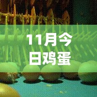 11月雞蛋價(jià)格最新行情解析，多方觀點(diǎn)交織的思考