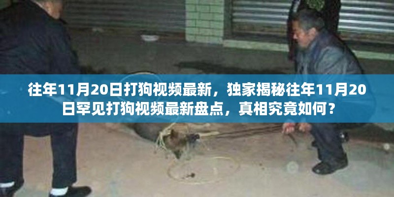 獨家揭秘，往年11月20日罕見打狗事件回顧與最新視頻盤點，真相揭秘！