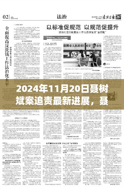 聶樹斌案追責最新進展深度解析，2024年11月20日追責進展及評測