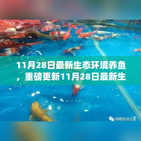 揭秘最新生態(tài)環(huán)境養(yǎng)魚秘籍，打造生態(tài)魚池新境界！