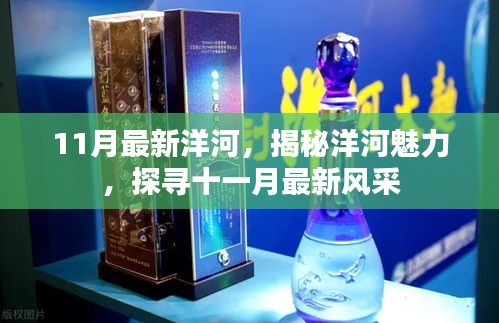 揭秘洋河魅力，十一月最新風(fēng)采展示