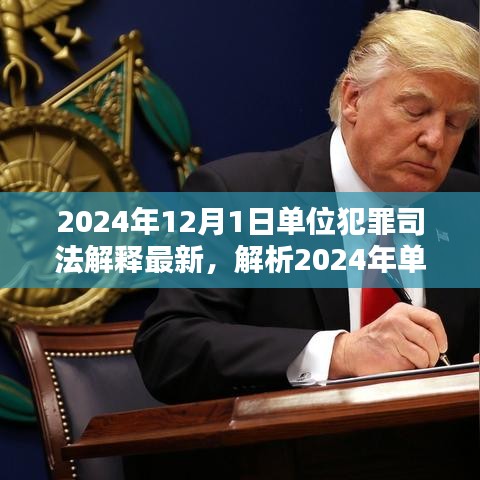 深度解析，2024年單位犯罪司法解釋最新動(dòng)態(tài)及三大要點(diǎn)探討