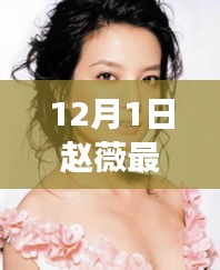 趙薇12月1日最新動態(tài)，溫馨日常與友情陪伴的故事