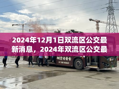 2024年雙流區(qū)公交最新消息詳解，獲取與使用公交服務(wù)的全面指南