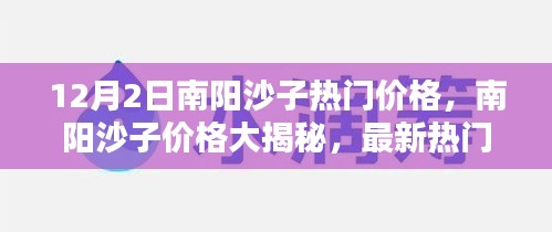 南陽沙子最新熱門價格揭秘，12月2日報價大放送