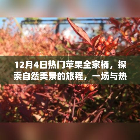 蘋(píng)果全家桶冬日之旅，探索自然美景的奇妙邂逅