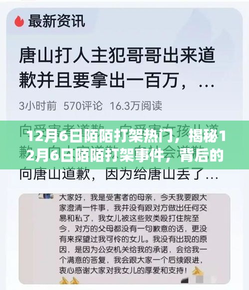 揭秘，12月6日陌陌打架事件背后的原因與影響熱議風(fēng)潮