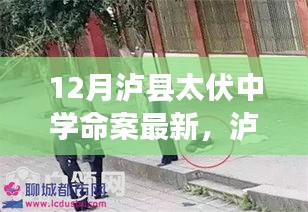 瀘縣太伏中學命案最新科技進展，智能安防系統(tǒng)重塑校園安全新篇章