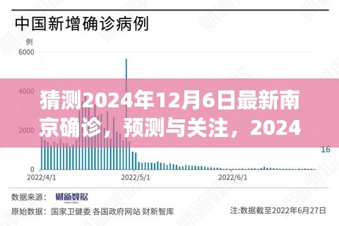 2024年12月6日南京最新確診動(dòng)態(tài)深度解析與預(yù)測關(guān)注