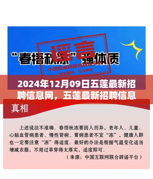 五蓮最新招聘信息網(wǎng)使用指南（初學者與進階用戶適用，發(fā)布日期，2024年12月9日）