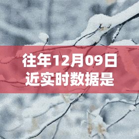 往年12月9日數(shù)據(jù)的魔法，溫馨回憶中的實(shí)時(shí)時(shí)光