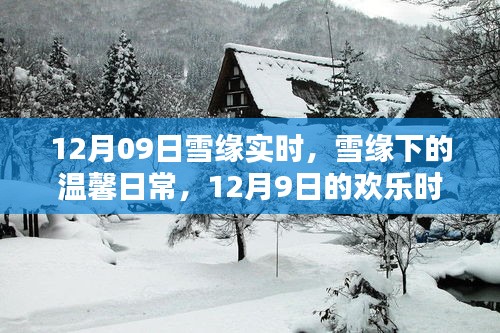 雪緣下的溫馨日常，12月9日的歡樂時(shí)光