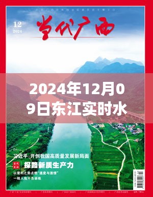 2024年12月09日東江實時水情詳解與查詢指南