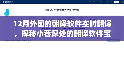 探秘十二月外國(guó)實(shí)時(shí)翻譯軟件，小巷深處的翻譯寶藏體驗(yàn)之旅