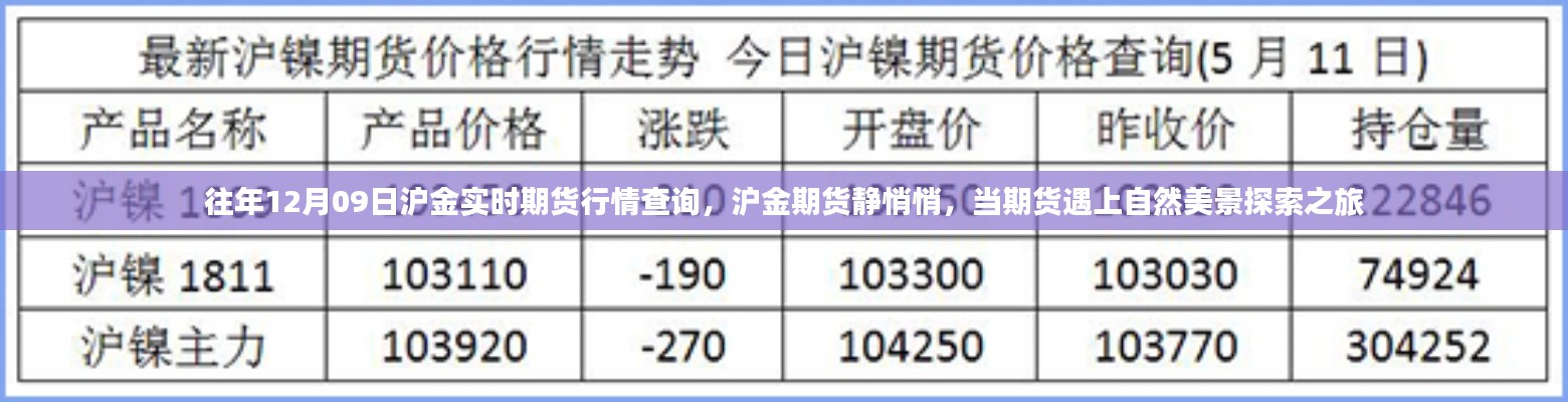 往年12月09日滬金期貨行情解析，靜謐市場(chǎng)與美景探索之旅