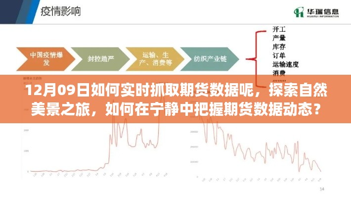 探索自然美景之旅與實時抓取期貨數(shù)據(jù)，寧靜中的動態(tài)把握策略