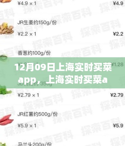 上海實時買菜app使用指南，從初學者到進階用戶的全方位指南（12月09日版）