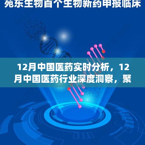 聚焦實時分析，探尋中國醫(yī)藥行業(yè)深度洞察與發(fā)展之路