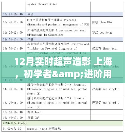 12月上海實(shí)時超聲造影操作全攻略，從初學(xué)者到進(jìn)階用戶的必備指南